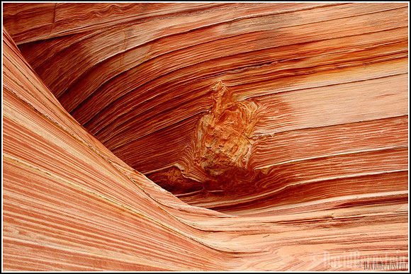 The Wave - Wall Detail