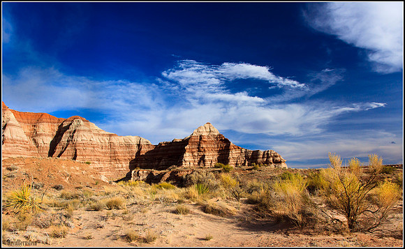 Toadstool Trail Hills