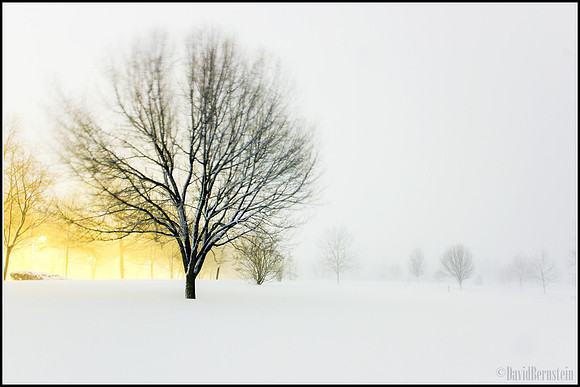 Midnight Blizzard