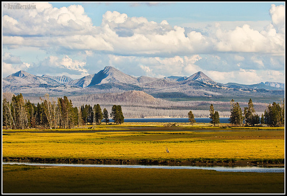 Pelican Creek