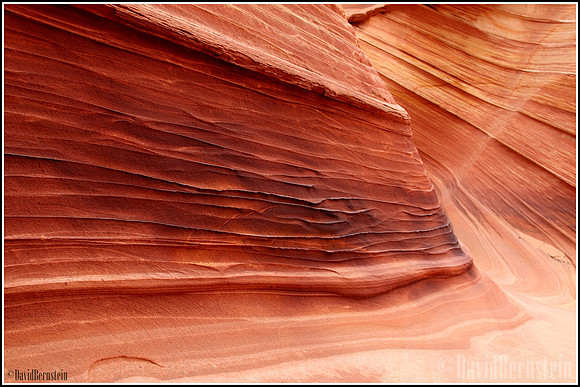 The Wave - Striations