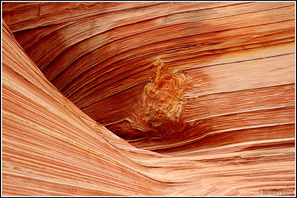The Wave - Wall Detail