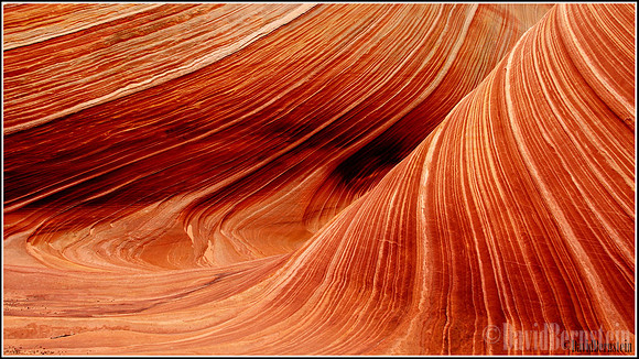Curves Into Curves - The Wave
