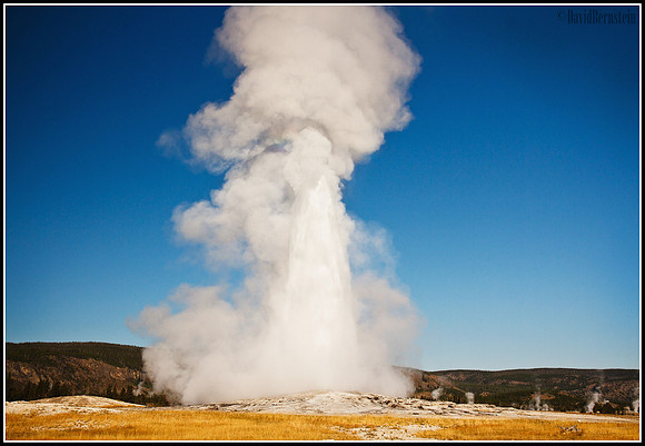 Old Faithful