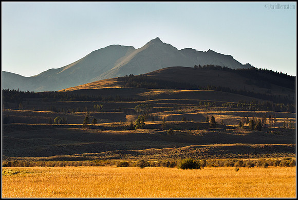 Yellowstone Rolling Hills