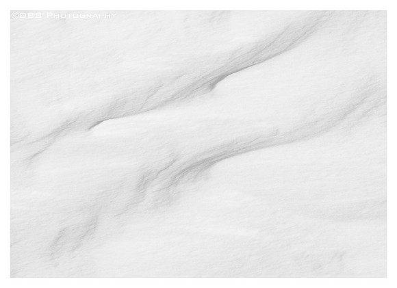 Snow Drift