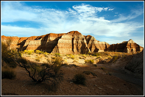 Toadstool Trail Hills #2